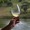 a woman holding a wine glass