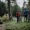a couple in the woods