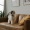 a dog sitting on a couch